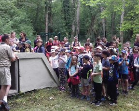 Sortie scolaire dans les bois