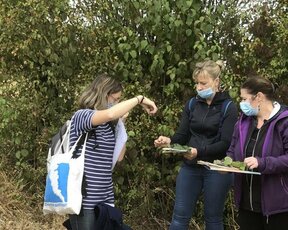 Les enseignants puisent des idées d'activités scolaires en forêt